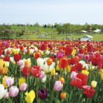 6169cfd7d54bdb270932b638d7cc899d