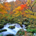 125855689640916201046_20091118-04