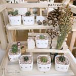 16178364_976755485791337_5257571866140129915_o