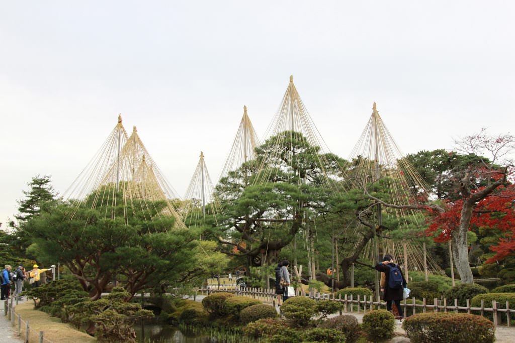 Yukitsuri ที่ว่า แหลมๆ พุ่งชี้ฟ้า