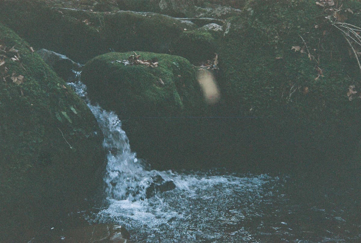 โขดหินน้อยใหญ่ถูกปกคลุมด้วยตะไคร่