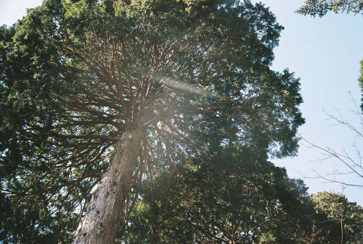 บรรยากาศรอบๆ ของร็อกการ์เดน (Rock Garden)