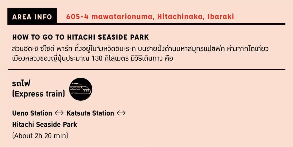 วิธีการเดินทางไปยังสวนฮิตะชิ ซีไซด์ พาร์ก (Hitachi Seaside Park) ในจังหวัดอิบะระกิ (Ibaraki)