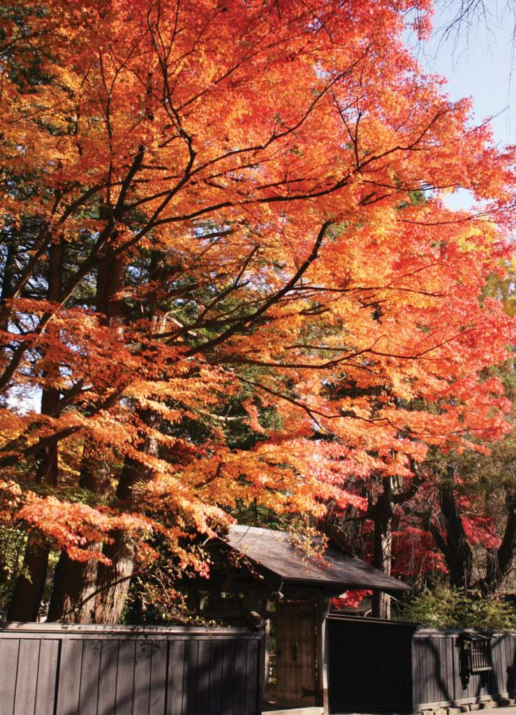 Kakunodate Bukeyashiki Street, AKITA