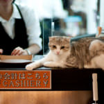 5103218845_d52255a0a1_b