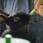 7518436140_73f4c10ec3_h