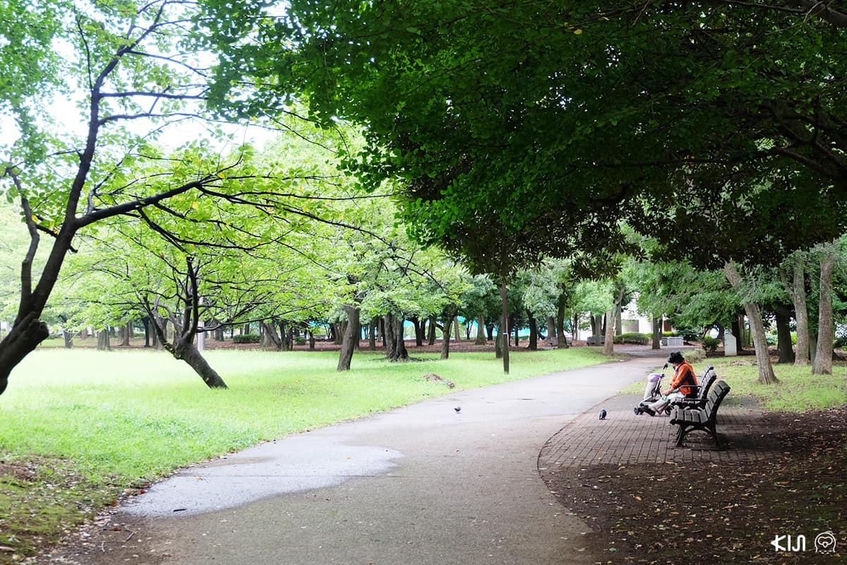 Kiyosumi Gardens at Kiyosumi Shirakawa