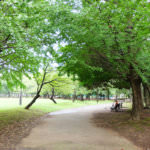 Park2