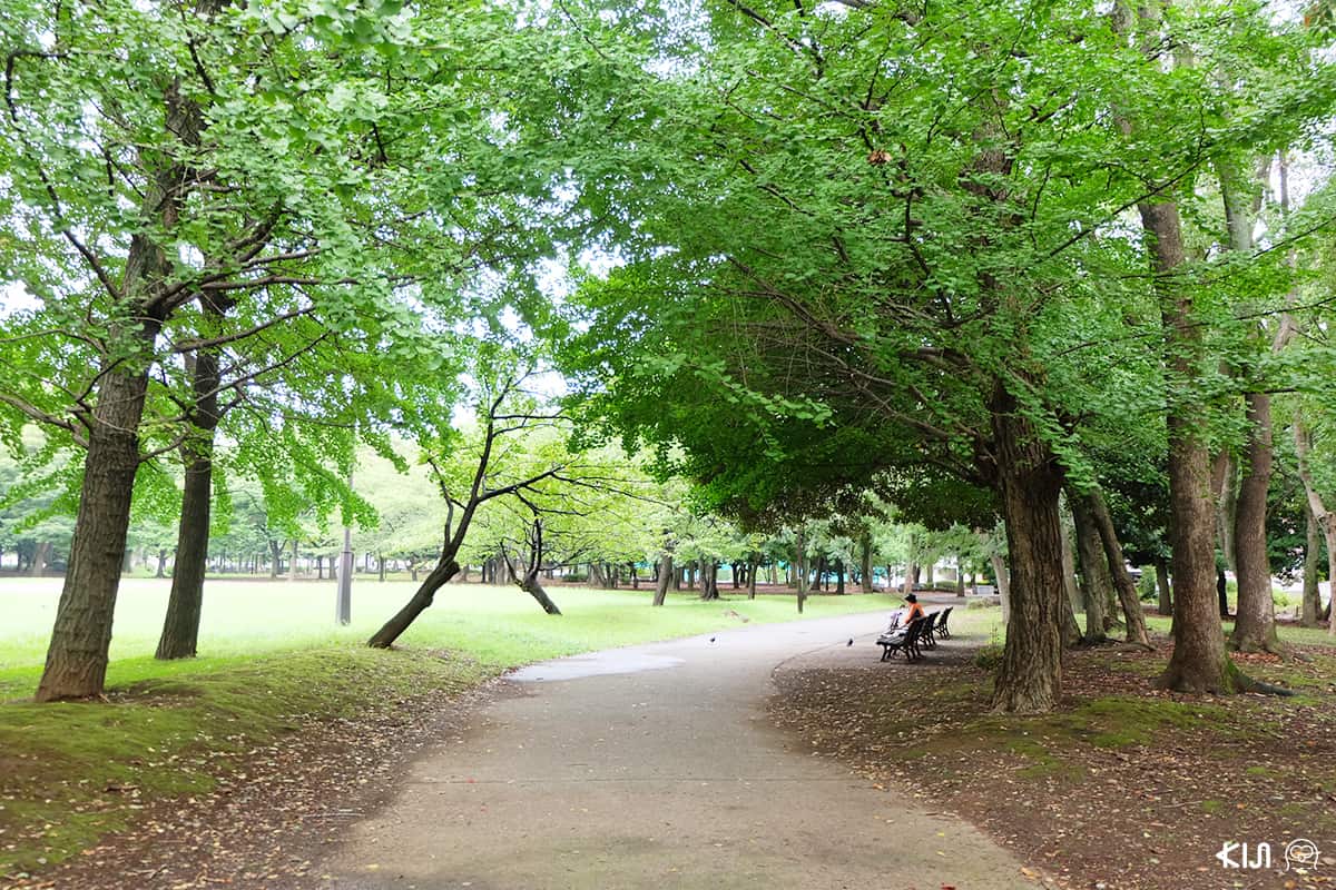 บรรยากาศภายใน Kiyosumi Gardens 