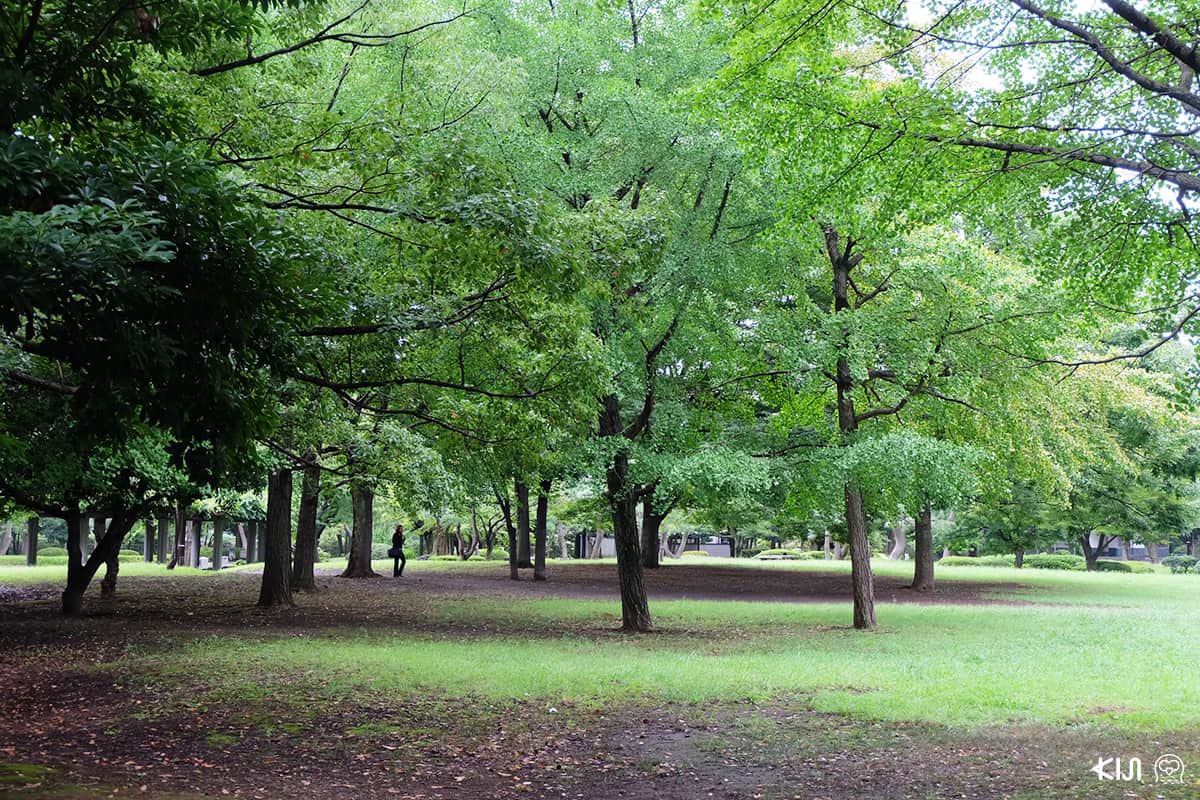สวนสาธารณะ Kiyosumi Gardens 