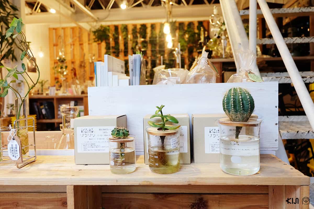 ร้าน Rikashitsu