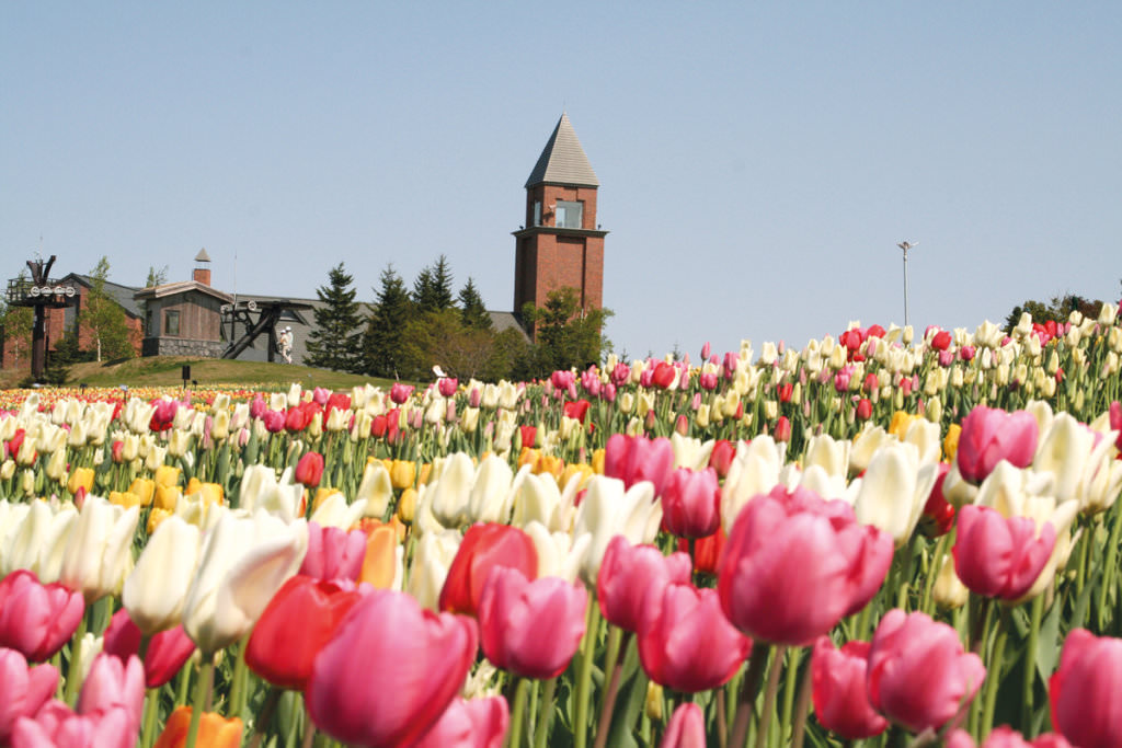 สวนทาคิโนะ สุซุรัน (Takino Suzuran Park)