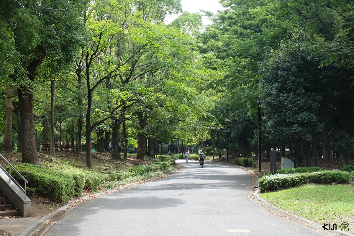 สวนสาธารณะใน Museum of Contemporary Art Tokyo (MOT)