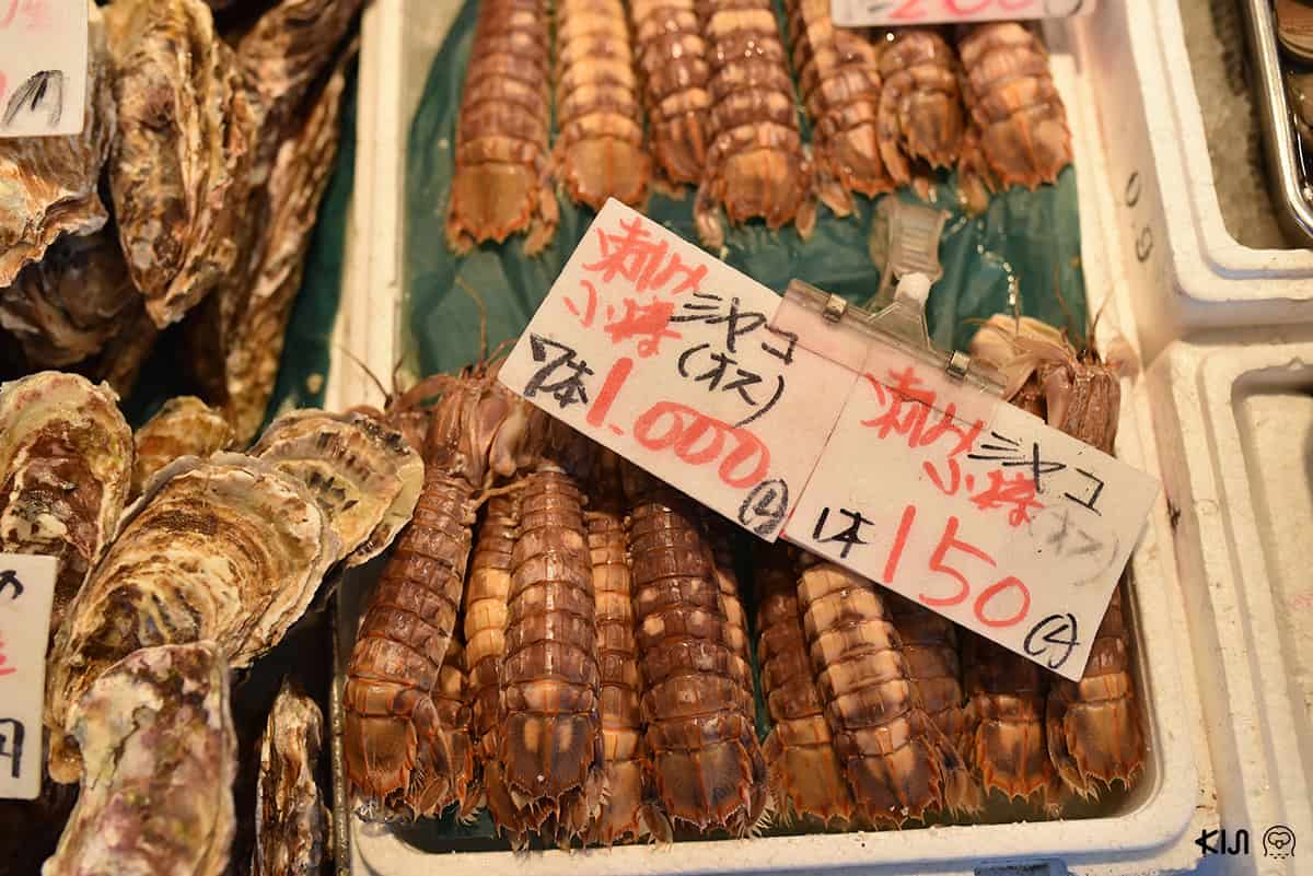 กั้งสดๆ ที่ตลาดปลานิโจ (Nijo Ichiba)
