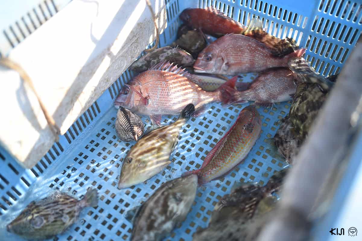 หมู่บ้านชาวประมงชิโมะซุย (Shimosui)