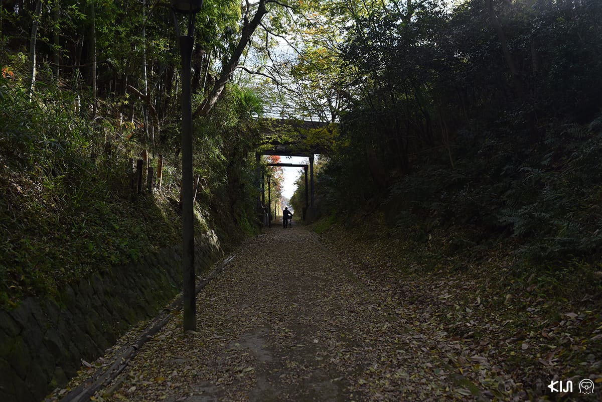 ทางจักรยานชมธรรมชาติที่ดัดแปลงมาจากเส้นทางรถไฟสายเก่า