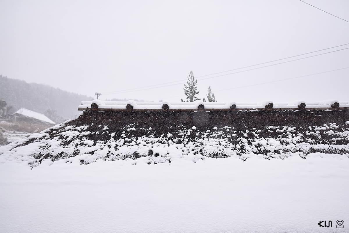 หุบเขาอิยะ Iya Valley ที่ โทคุชิม่า (Tokushima)