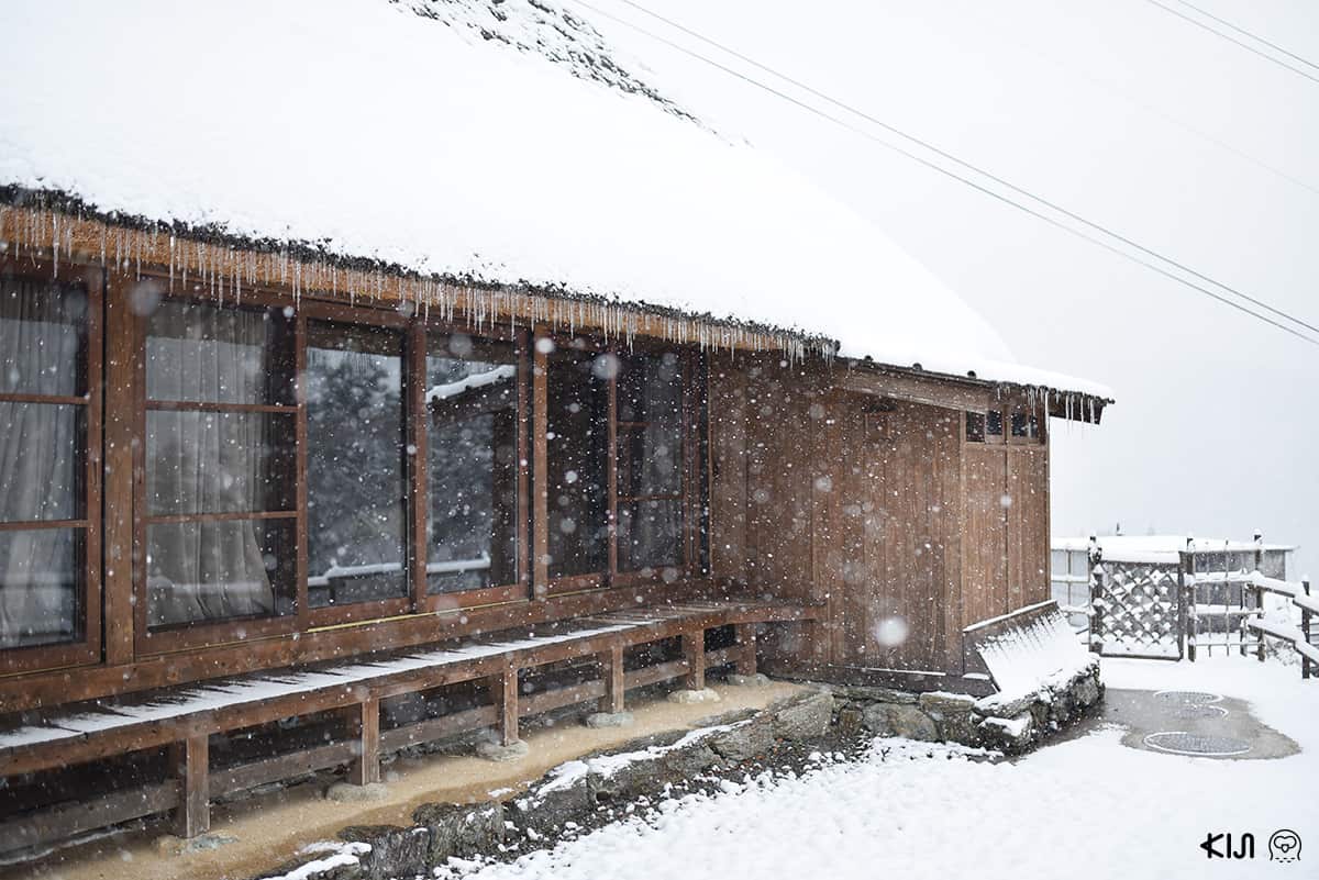 หุบเขาอิยะ (Iya Valley) โทคุชิม่า (Tokushima)