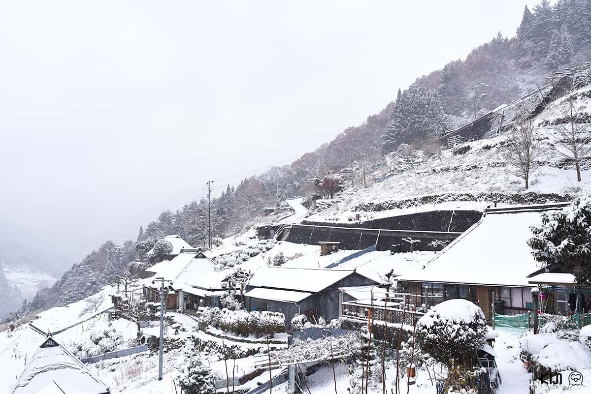 หุบเขาอิยะ (Iya Valley) โทคุชิม่า