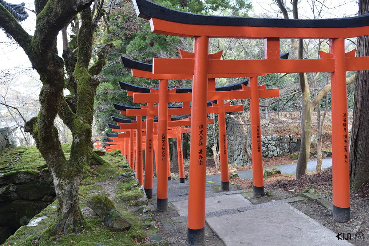 ระหว่างทางเดินขึ้นไปศาลเจ้าอินาริ (Inari) เราจะต้องรอดผ่านประตูโทริอิสีแดงสด 37 ต้น ตั้งเรียงไปตามบันไดสูง 157 ขั้น สวยงามตระการตา