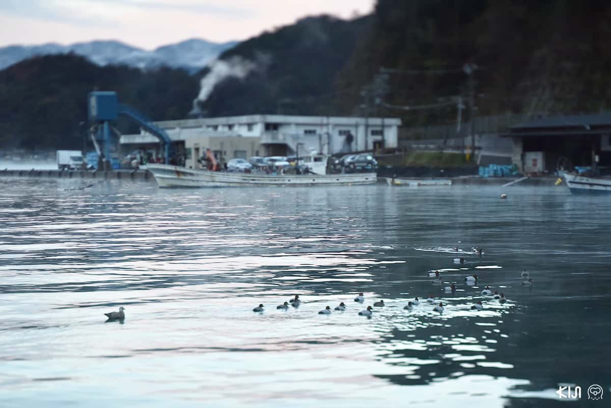 รอบๆ หมู่บ้าน อิเนะ