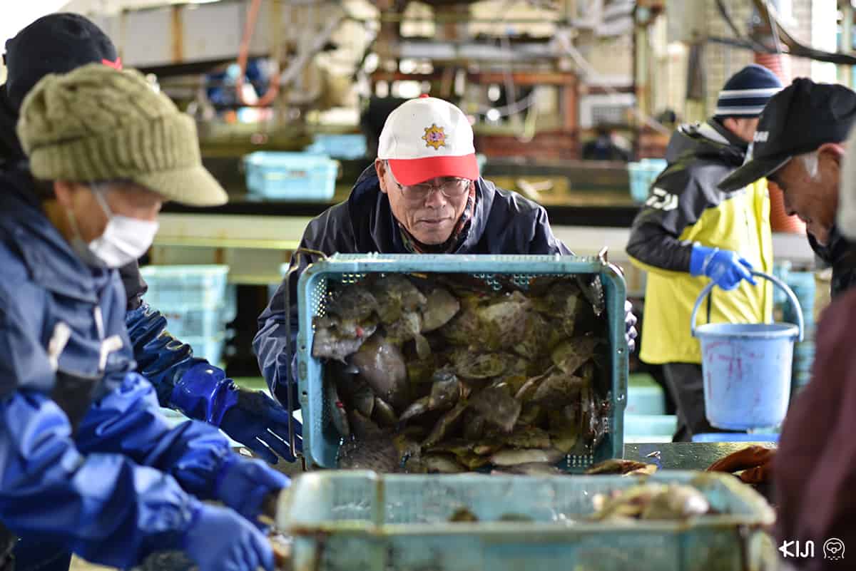 ชาวประมงที่หมู่บ้าน อิเนะ (Ine)