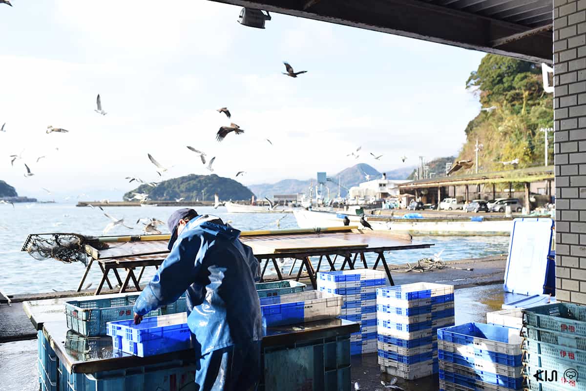 หมู่บ้าน อิเนะ (INE)