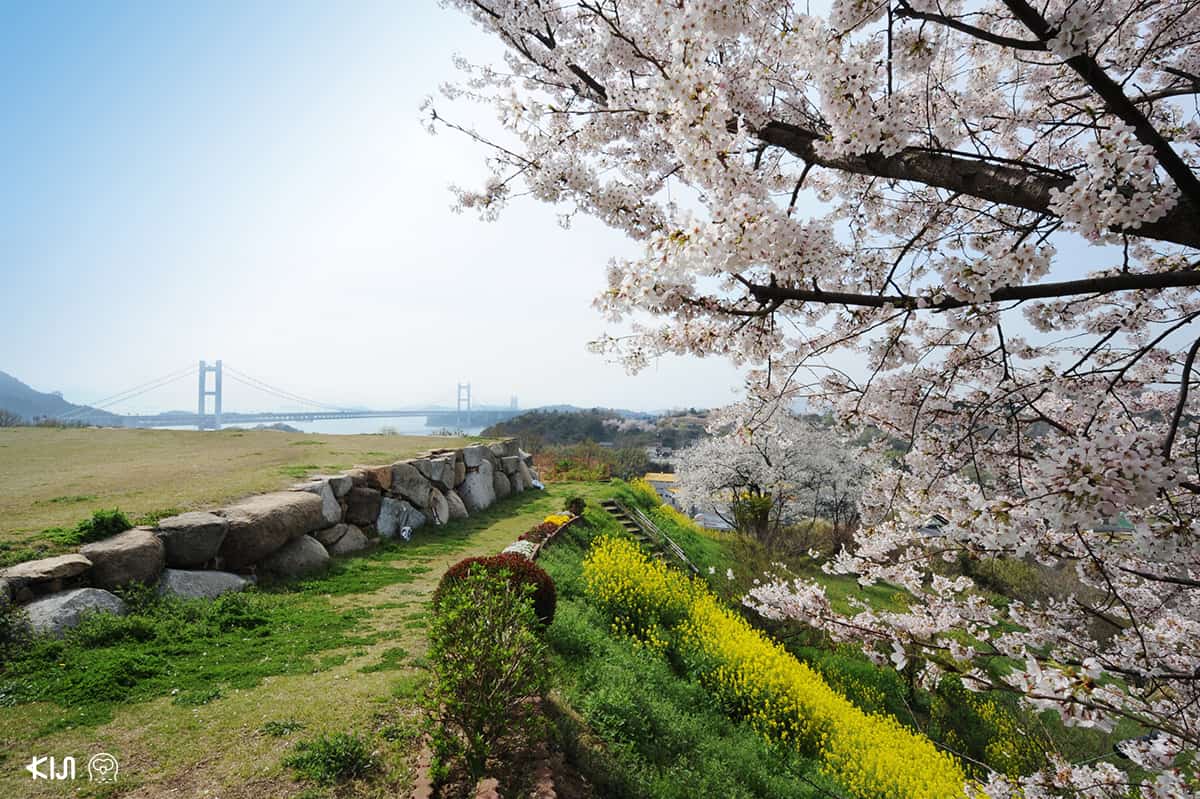 บรรยากาศโดยรอบของโรงแรมวาชูไฮแลนด์