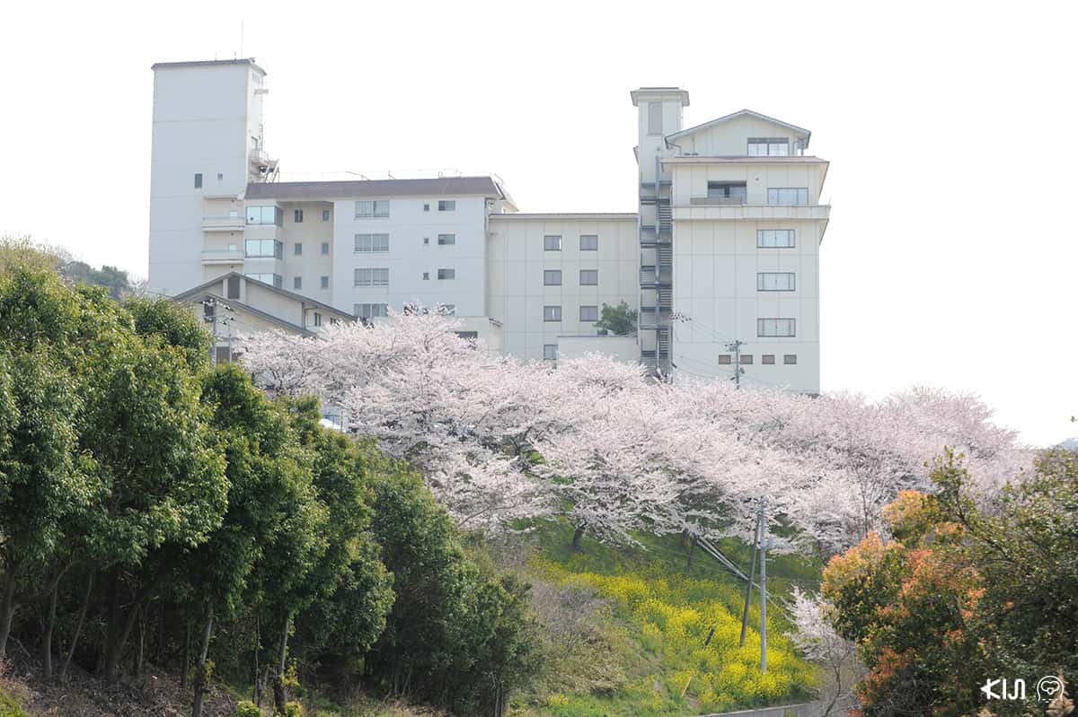 โรงแรมวาชูไฮแลนด์ (Washu Highland Hotel)