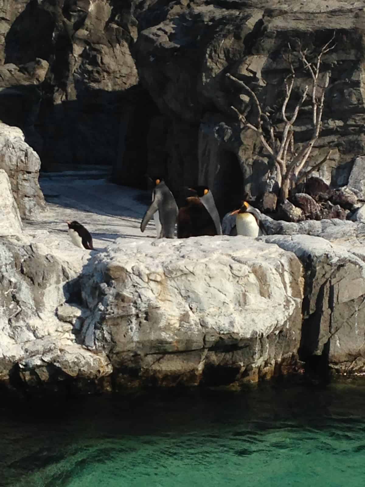 Tokyo Sealife Aquarium