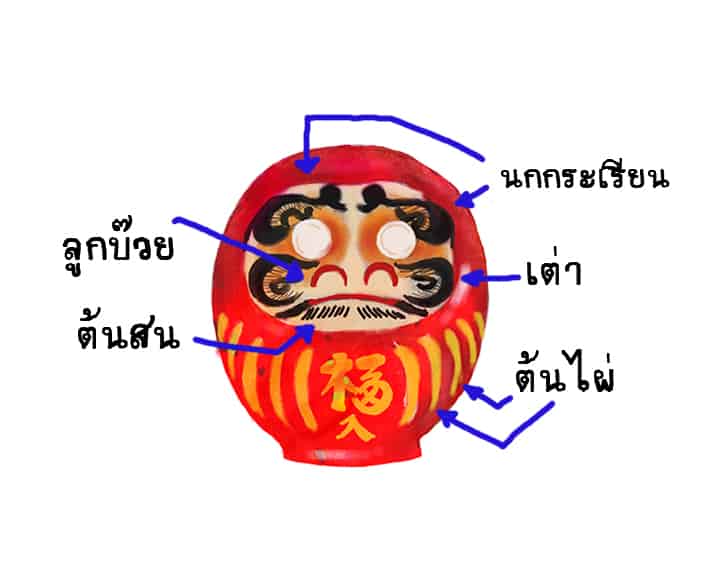 การเปรียบเทียวส่วนต่างๆ ของตุ๊กตาดารุมะ