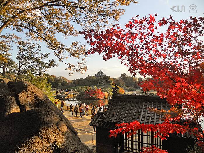 โอคายาม่า (OKAYAMA)