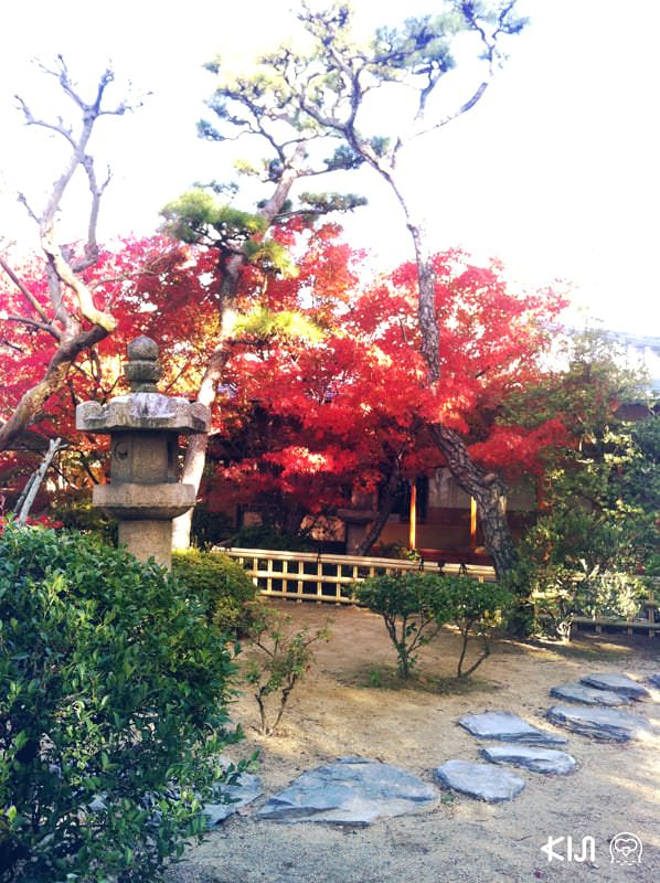 วาบิซาบิ