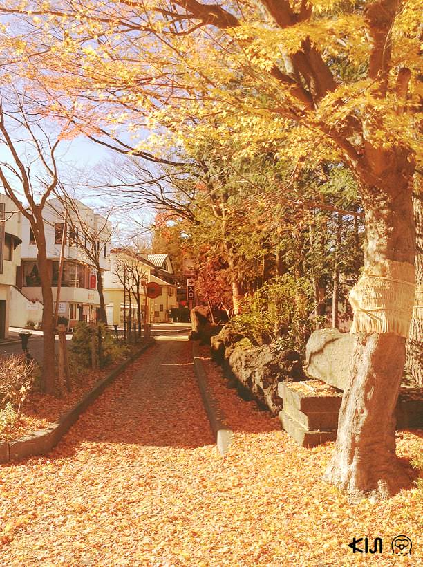 วิบิซาบิ : ความสวยงามที่ไม่สมบูรณ์แบบ สมบูรณ์แบบที่สุด