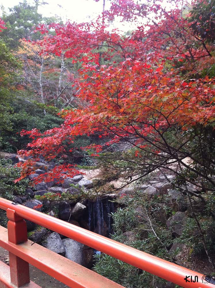 สายน้ำที่ไหลลงมาจากหุบเขาก็ได้ชื่อว่าโมมิจิดานิ