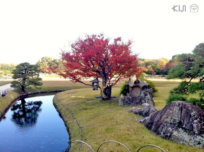 สายน้ำเล็ก ใสแจ๋งที่สวนโครากุเอ็ง