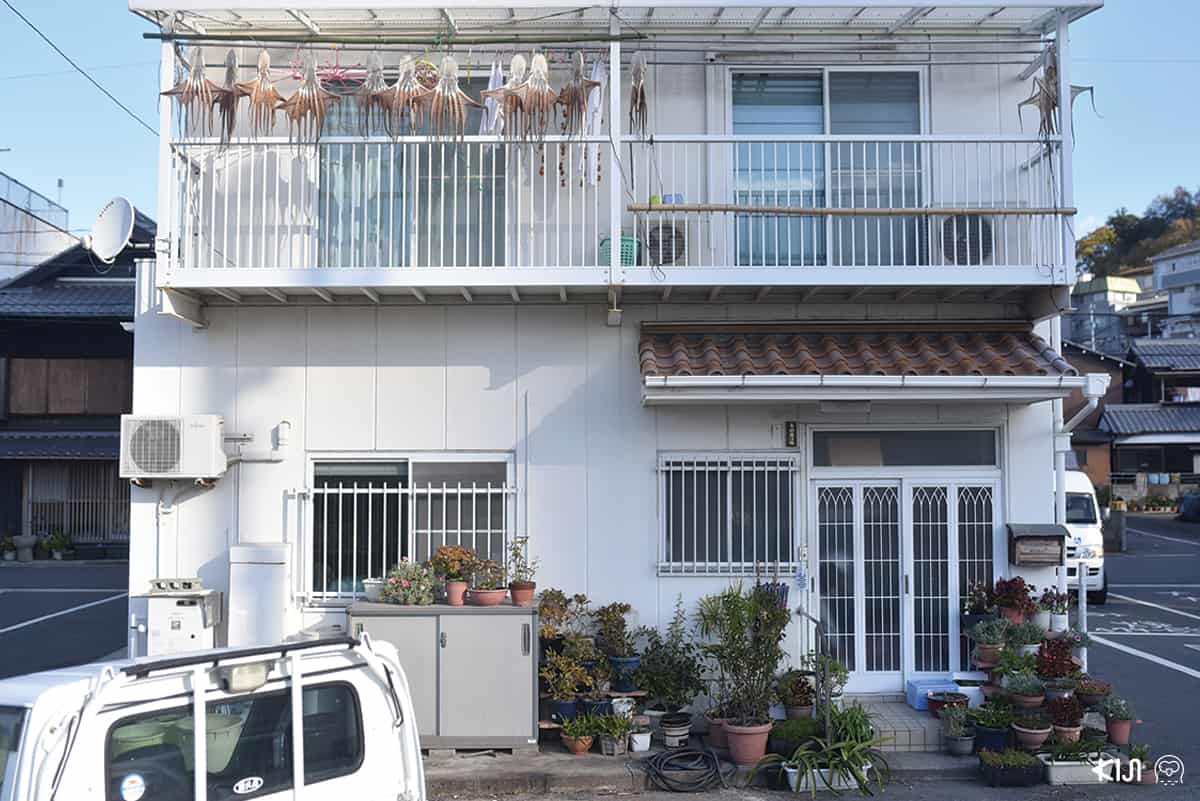 ฮิดาโกะ (Hidako) ปลาหมึกยักษ์ตากแห้ง