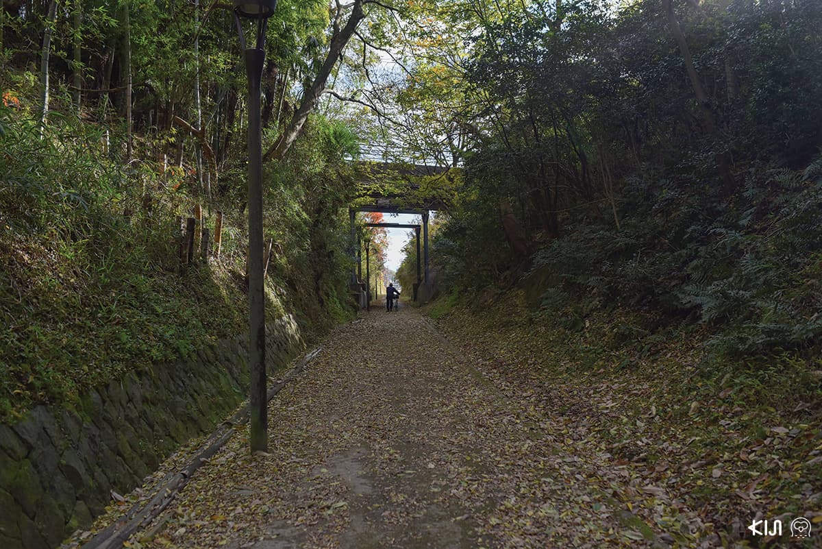 ขี่จักรยานบนทางรถไฟสายเก่า