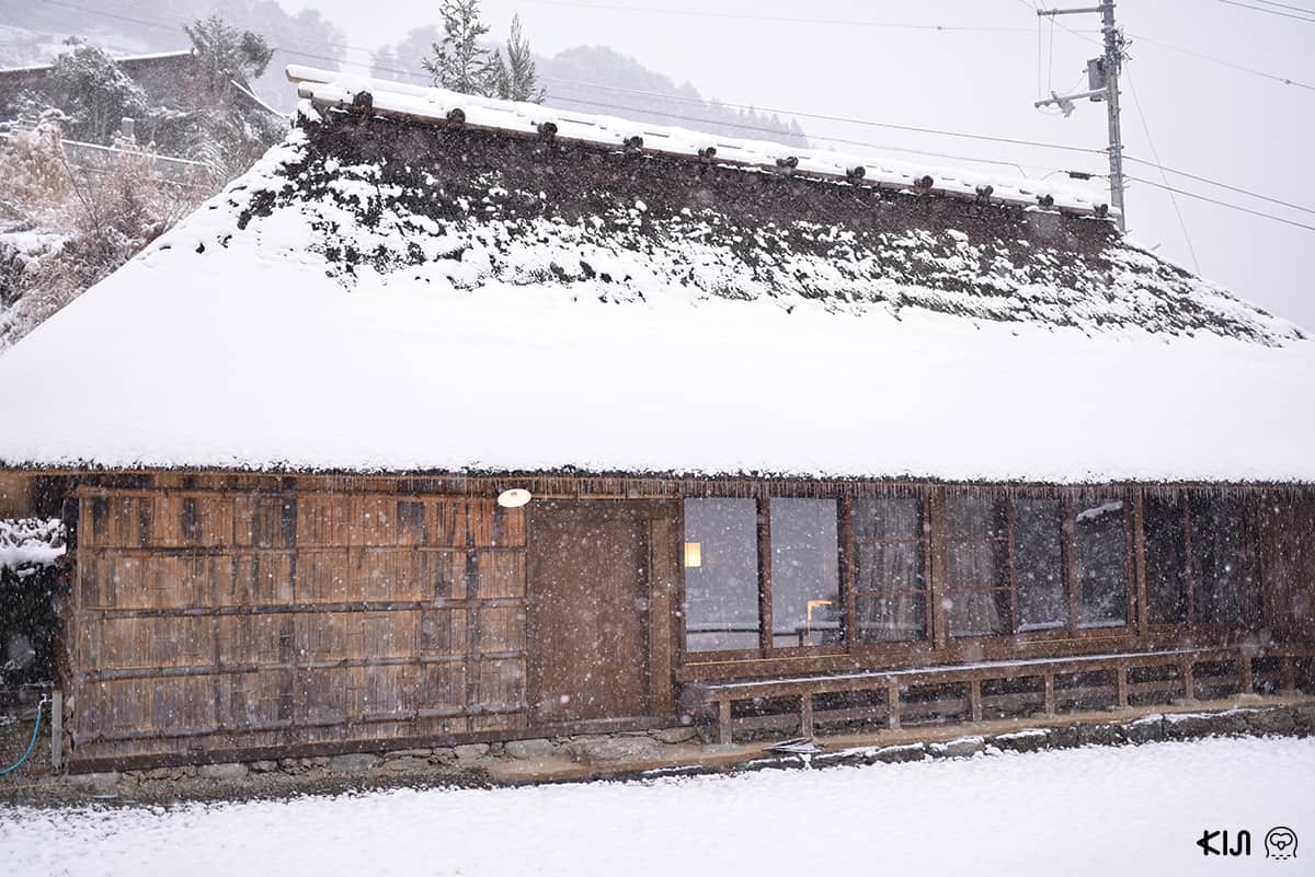 เที่ยวญี่ปุ่น คนน้อย ไม่ค่อยมีใครรู้จัก หุบเขาอิยะ (Iya Valley : 祖谷渓)