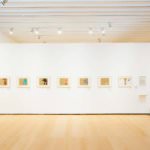 29249119_1052238274924738_6429187110032375808_o