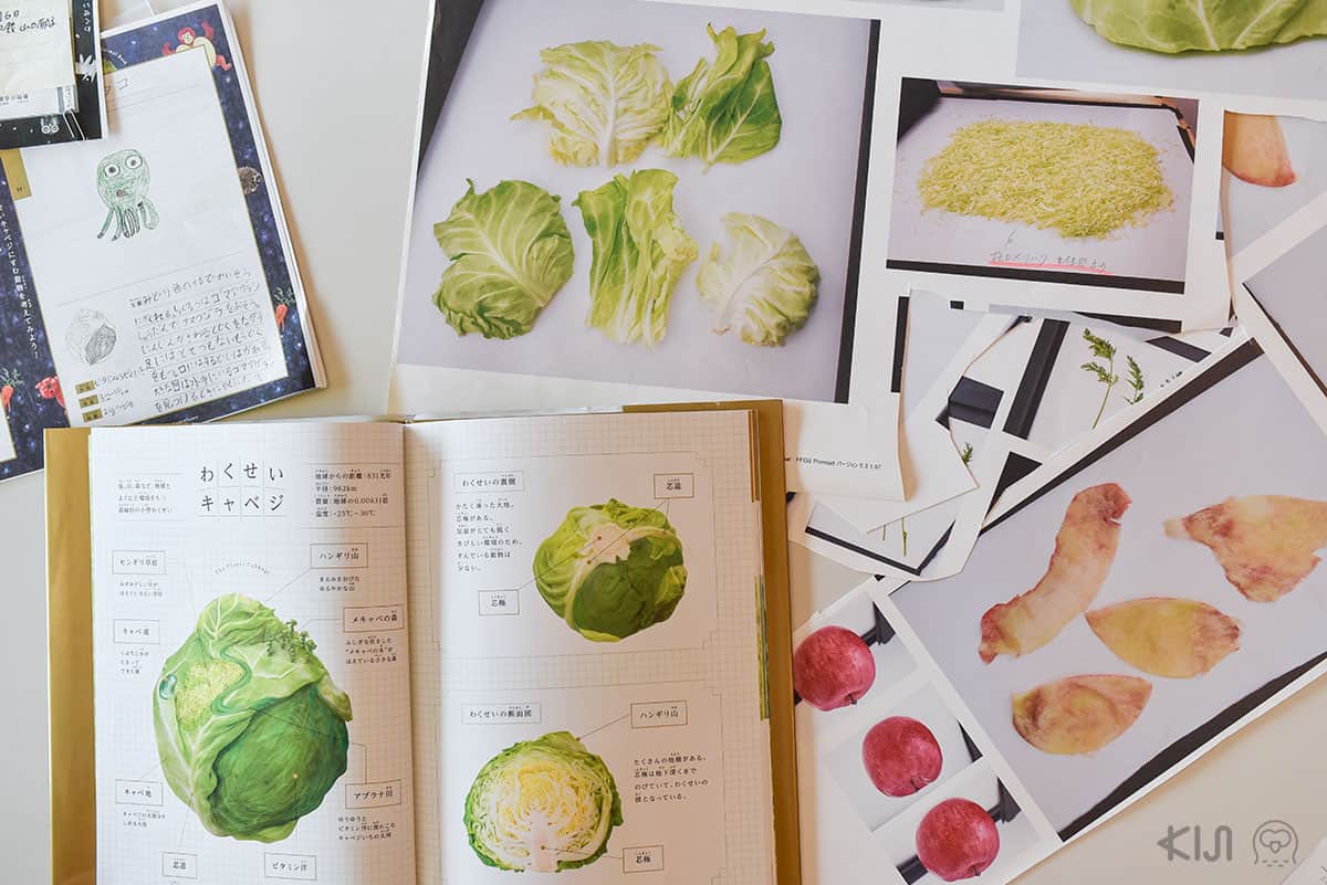 หนังสือภาพศิลปะการตัดแปะเกี่ยวกับพืชผักโดย tupera tupera