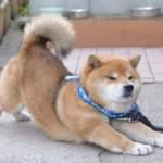 191bb1605e474db697f363a859afae39