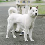 2ee41928354ba8e95cc16c945009c760