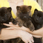 6275581610_fbd362dc9c_b