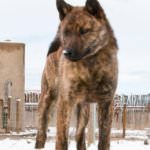 8e2bbeb0a1f9bd677146213b58050769