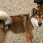 a875a33e3db2691ca7256a9fc43323bd