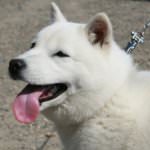 acef19dbf51c5e5e5e993abd11c3edb6