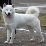 c250637f3e7ec3100831ad061aeb7741