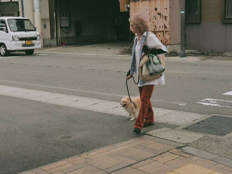 ที่ญี่ปุ่นจะต้องดูแลความสะอาดของสัตว์เลี้ยงตนเอง เมื่อพาไปเดินเล่นโดยเฉพาะในเมืองใหญ่ เจ้าของจำเป็นที่จะต้องนำถุงพลาสติกไปด้วยเพื่อคอยเก็บอุจจาระ
