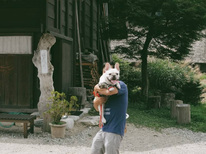 ไม่ใช่พันธุ์ญี่ปุ่นแต่ก็ต้องยอมในความน่ารักของเจ้าเฟรนช์บลูด็อกตัวนี้